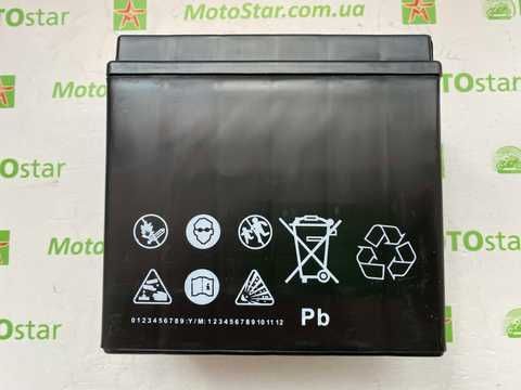 Купить EXIDE ETX14L-BS / YTX14L-BS аккумулятор 12 А/ч, 200 А, (-/+