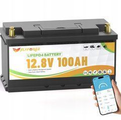 Аккумулятор FLYFOREE LiFePO4 12V/100AH (1280W*h), Smart BMS, Bluetooth APP, (літій-залізо-фосфатний акумулятор для ДБЖ (UPS))