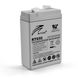 Акумуляторна батарея AGM RITAR RT655, Gray Case, 6V 5.5Ah (70х47х99 (105)) Q20