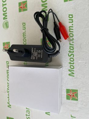 Автоматичне ЗУ для акумулятора Voltronic 12V, PPI-1201500, 100-240V, Струм заряду 14,2V/1A, крокодили в комплекті, Q200 (HD-915)