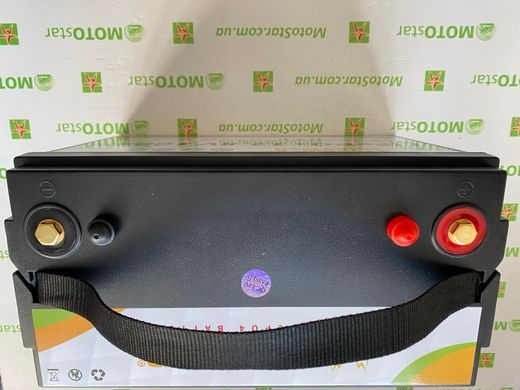 Акумулятор FlyPower LiFePO4 12V/100AH, 1280W*h, 50А/100А (літій-залізо-фосфатний акумулятор для ДБЖ (UPS))