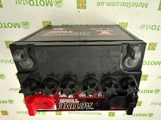 Аккумулятор YUASA 895 12В 26Агод. 250А R+ Не обслуживается 187x127x181мм (U1R)